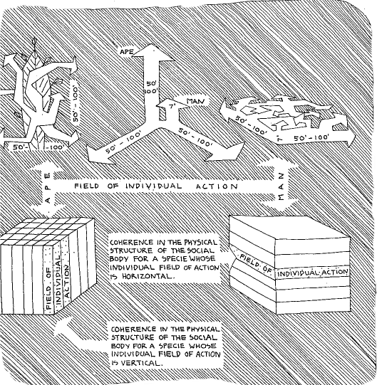 Paolo Soteri's analysis of vertical space.